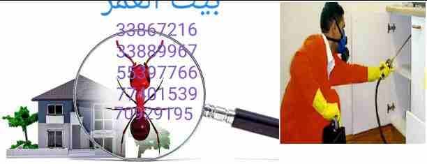 تقدم لكم : شركة بيت العمر
اقوي عروضها في مكافحة الحشرات والزواحف والقوارض باقوي تركيبة مبيد عام من المواد والمبيدات الالمانية والفرنسية لبيت خالي من الحشرات وعروضنا كالتالي....
رش فيلا داخل : ١٥٠ ريا...