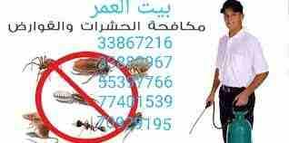 تقدم لكم : شركة بيت العمر
اقوي عروضها في مكافحة الحشرات والزواحف والقوارض باقوي تركيبة مبيد عام من المواد والمبيدات الالمانية والفرنسية لبيت خالي من الحشرات وعروضنا كالتالي....
رش فيلا داخل : ١٥٠ ريا...