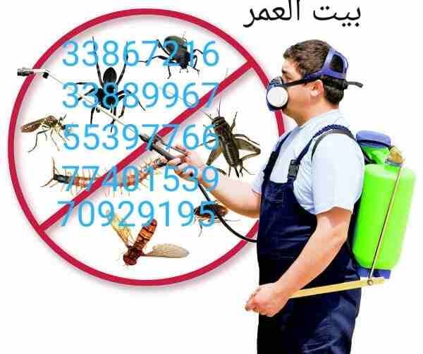 تقدم لكم : شركة بيت العمر
اقوي عروضها في مكافحة الحشرات والزواحف والقوارض باقوي تركيبة مبيد عام من المواد والمبيدات الالمانية والفرنسية لبيت خالي من الحشرات وعروضنا كالتالي....
رش فيلا داخل : ١٥٠ ريا...