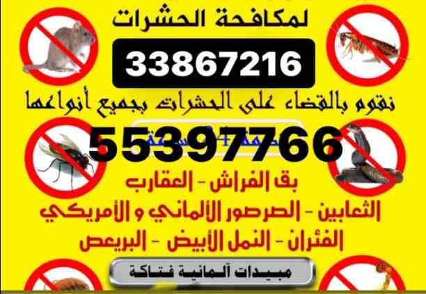 مكافحة الحشرات والزواحف والقوارض باقوي تركيبه مبيد عام من المواد والمبيدات الألمانية والفرنسيه لبيت خالي 🐞🐜🦟🐝🦎55397766
